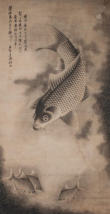 unbekannt chinesisch - Koi/ Nishikigoi - 1920 - Tuschezeichnung