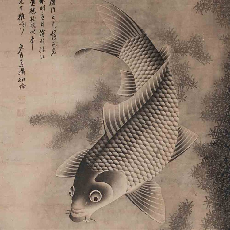 unbekannt chinesisch - Koi/ Nishikigoi - 1920 -...