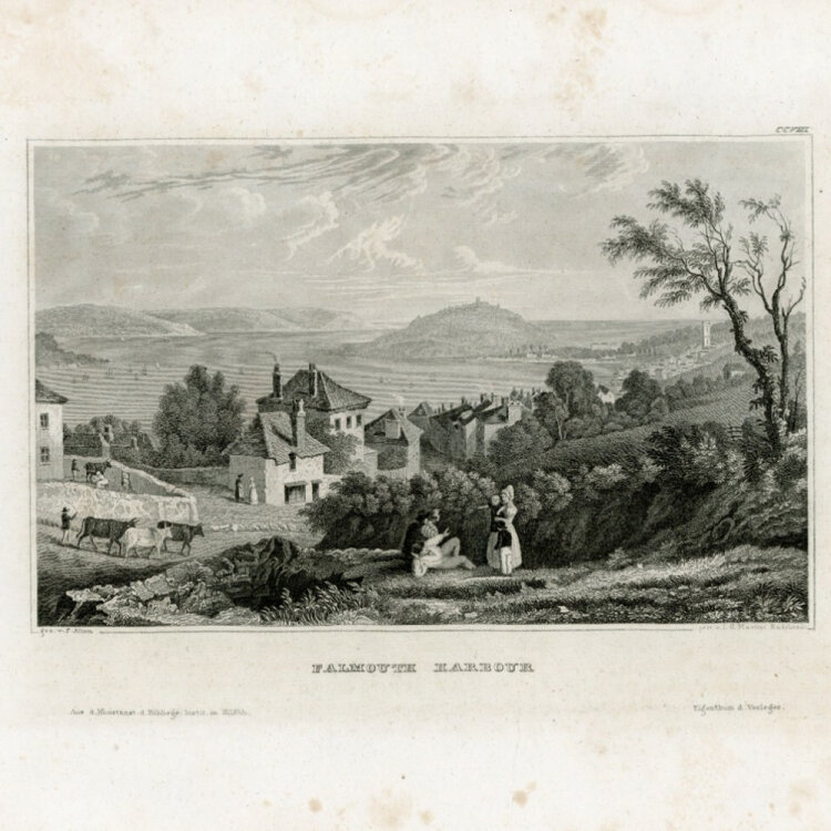 Johann Georg Martini - Falmouth Harbour. - o.J., Radierung