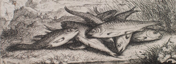 Albert Flamen - Fische am Seeufer - undatiert - Kupferstich
