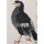 Qi Baishi - Schwarzer Vogel - 1955 - Farbholzschnitt