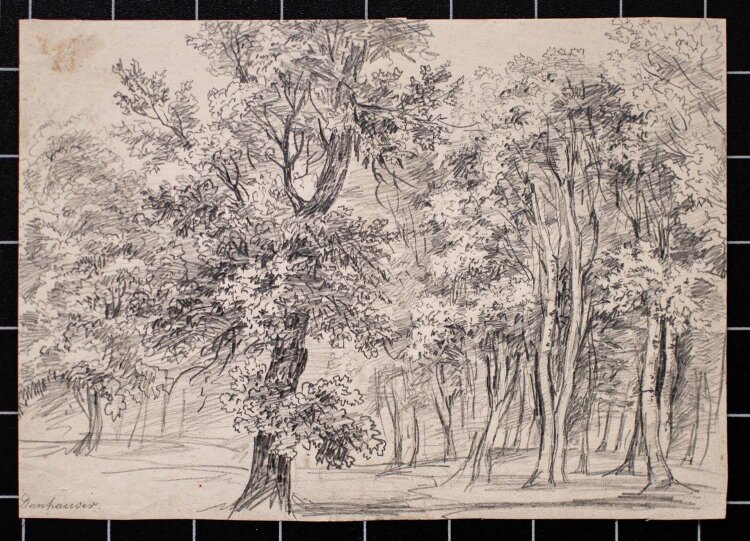 Josef Franz Danhauser - Waldlandschaft - undatiert - Bleistiftzeichnung