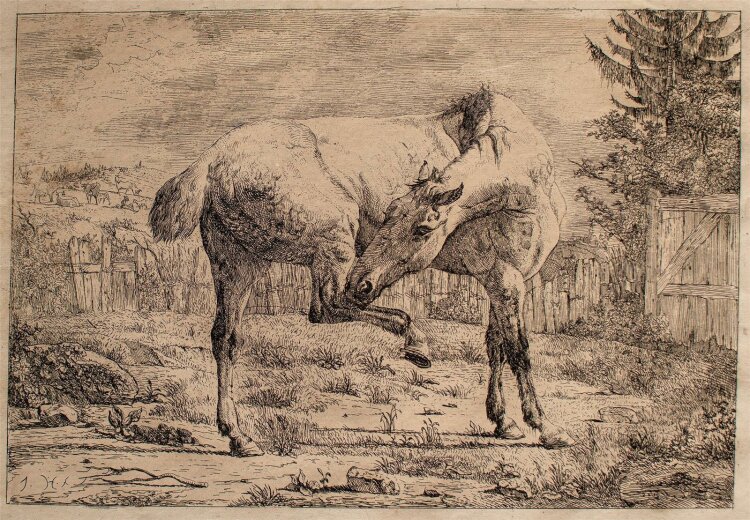 Jean Daniel Huber - Stehendes Pferd - Kupferstich - o. J.