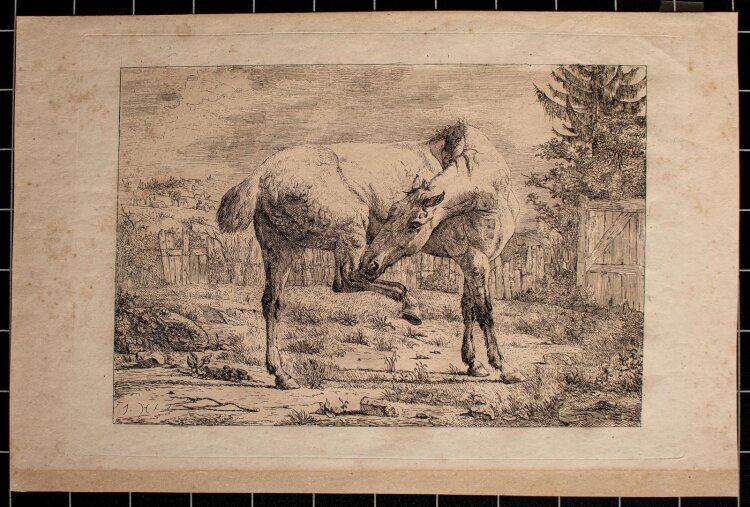 Jean Daniel Huber - Stehendes Pferd - Kupferstich - o. J.
