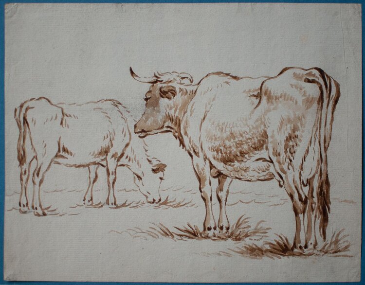 Friedrich Wilhelm Hirt - Kühe und Ziegen, 9 Studienzeichnungen - undatiert - Rötelzeichnung und Tusche