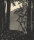 Hermann Wilhelm - Geiger im Wald - 1919 - Holzschnitt mit Kohlestift