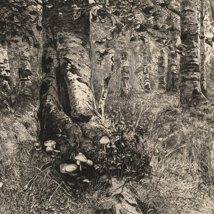Karl Julius Bernhard Mannfeld - Waldinneres - um 1900 -...