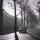 Gisela Franke - Dorfstraße Groß-Ziethen - 1990 - Schwarz-Weiß-Fotografie