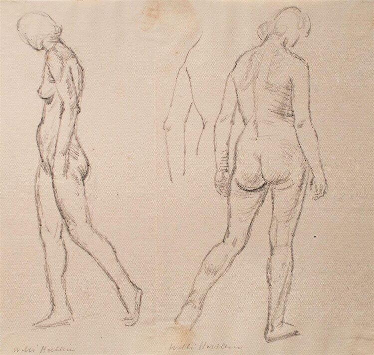 Willi Hertlein - Aktskizzen - Bleistiftzeichnung - o. J.