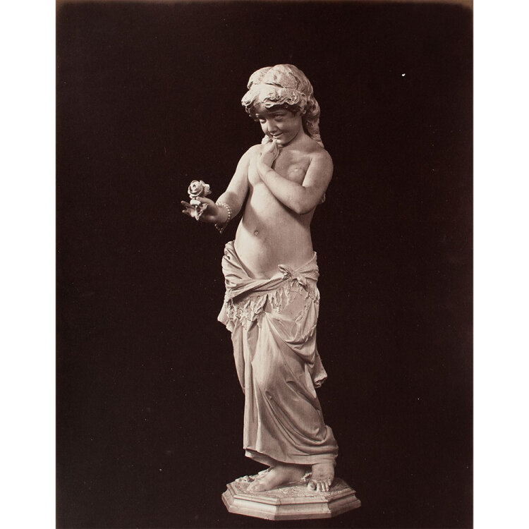 György Klösz - Unschuldige Rose - 1873 - Albuminabzug