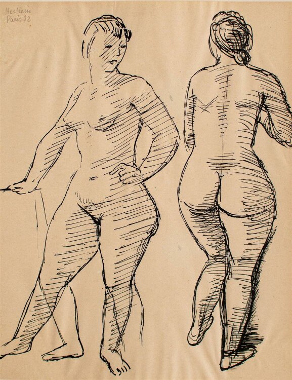 Willi Hertlein - weibliche Akte -Tuschezeichnung - 1932