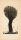 Kurt Mühlenhaupt - Baum - 1968 - Holzschnitt