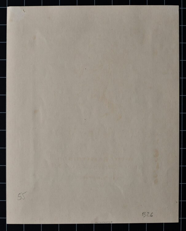 Paula Lauenstein - Vorstudie zu Opuntia I" - 1923 - Bleistift"