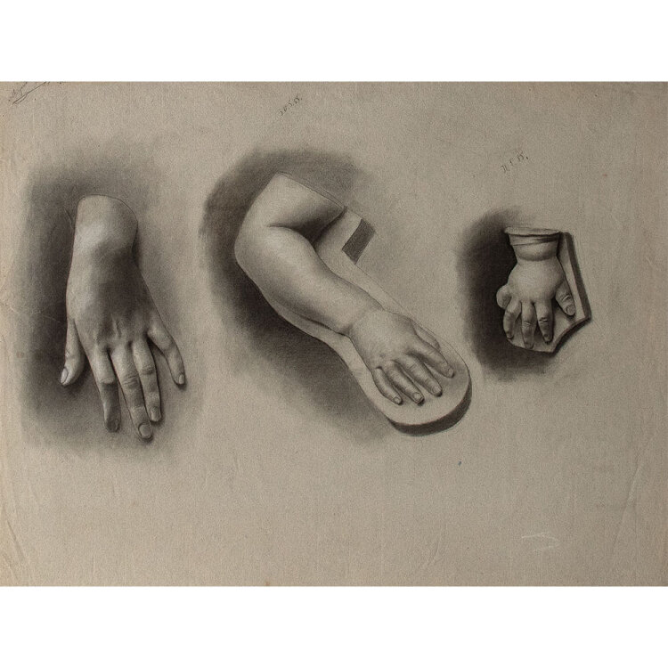 Margarete Fockin - Handstudien - 1888 -...
