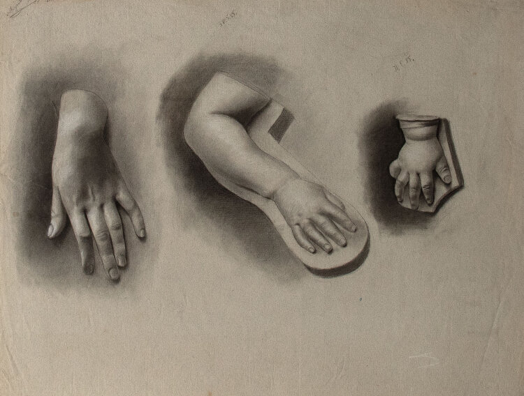 Margarete Fockin - Handstudien - 1888 - Kohlestiftzeichnung mit Weißhöhung