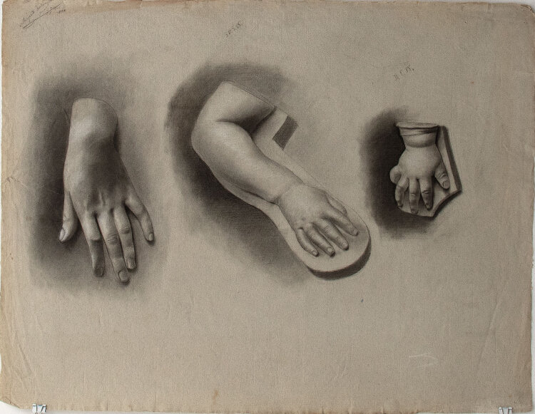 Margarete Fockin - Handstudien - 1888 - Kohlestiftzeichnung mit Weißhöhung