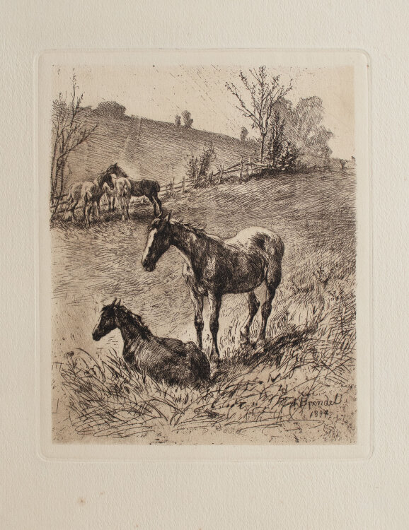 Albert Heinrich Brendel - Pferdekoppel - 1894 - Radierung