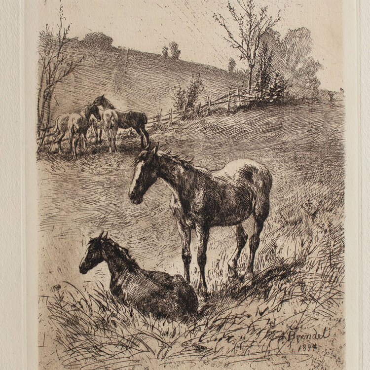 Albert Heinrich Brendel - Pferdekoppel - 1894 - Radierung