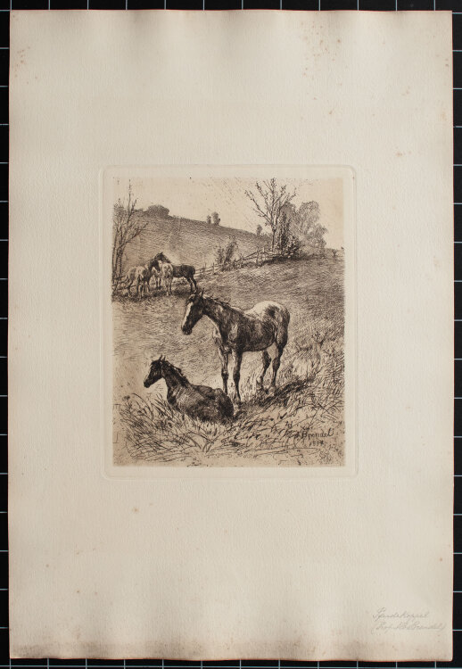 Albert Heinrich Brendel - Pferdekoppel - 1894 - Radierung