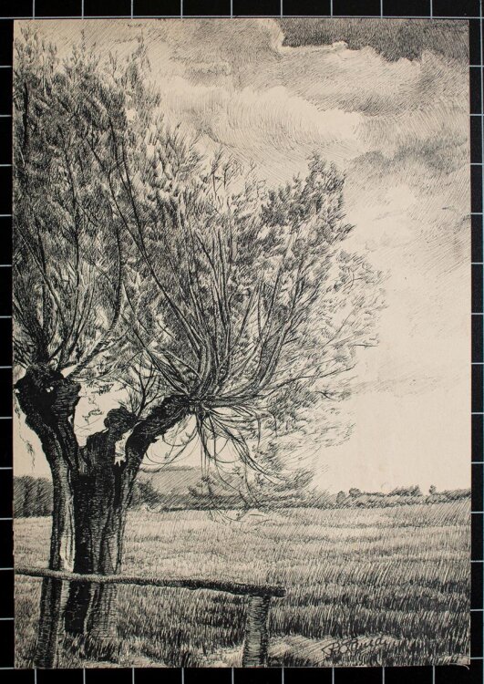 Unbekannt - Landschaft - Tuschezeichnung - o.J.