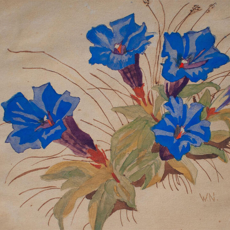 unbekannt - Blauer Enzian - undatiert - Aquarell