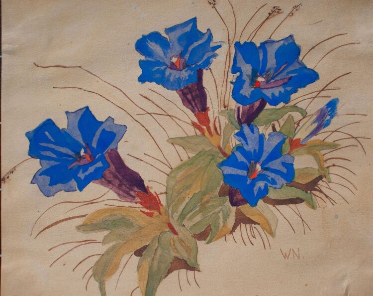unbekannt - Blauer Enzian - undatiert - Aquarell