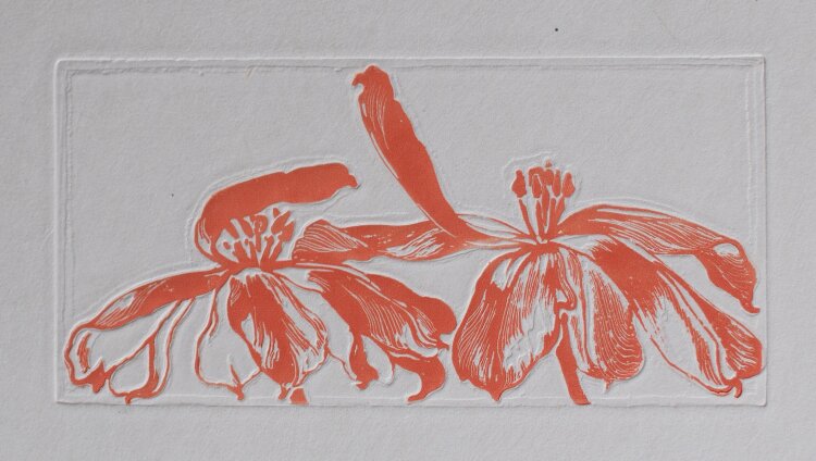 Arthur Illies - Rote Tulpen - 1896 - Farbradierung mit Blindprägung