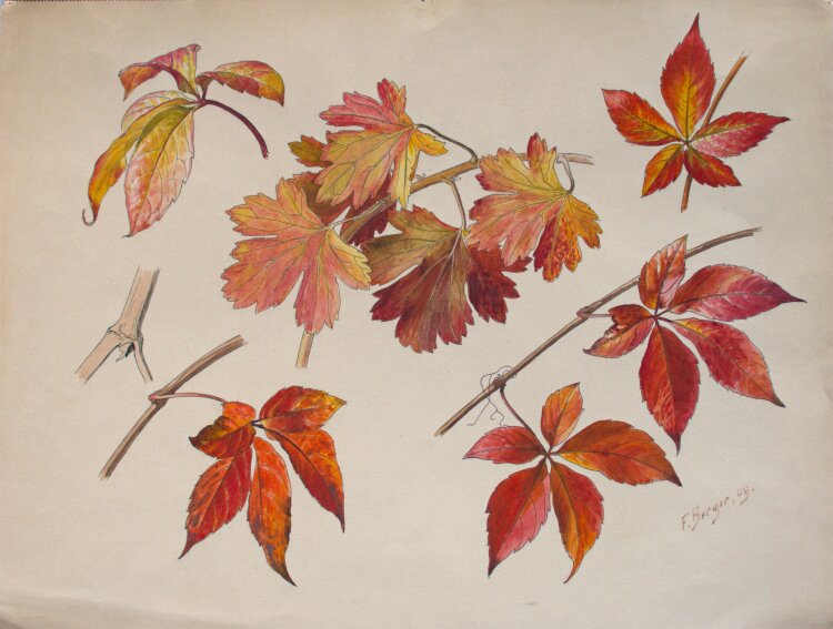 Fritz Berger - Blätterstudie - 1909 - Aquarell