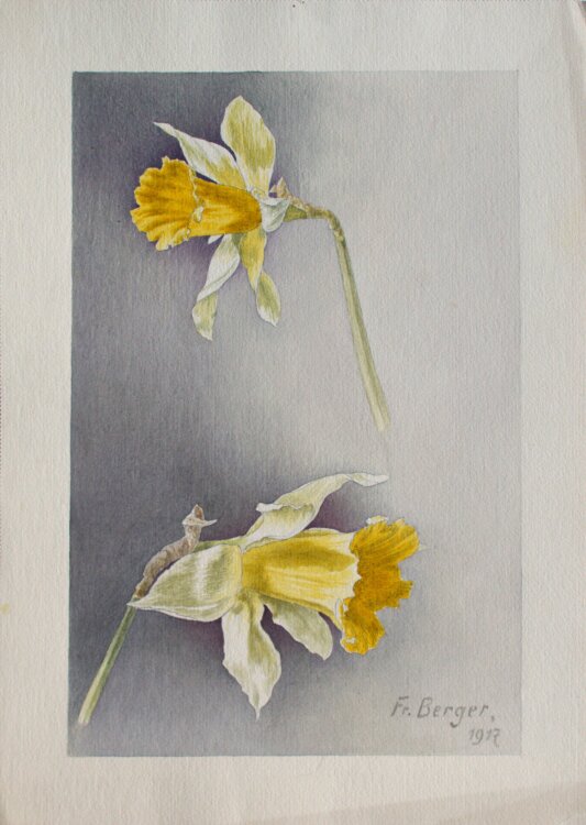Fritz Berger - Blumenstudie/ Narzissen - 1917 - Aquarell...