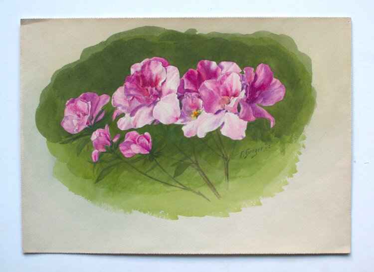 Fritz Berger - Blumenstudie/ Rosen - 1908 - Aquarell über Bleistift