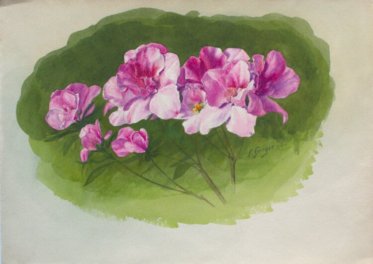Fritz Berger - Blumenstudie/ Rosen - 1908 - Aquarell...