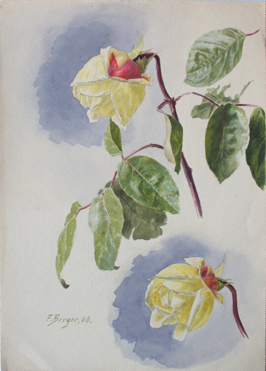 Fritz Berger - Blumenstudie/ Rosen - 1908 - Aquarell...