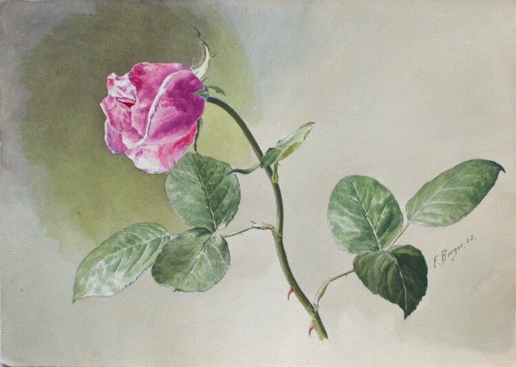 Fritz Berger - Blumenstudie/ Rosen - 1908 - Aquarell und...
