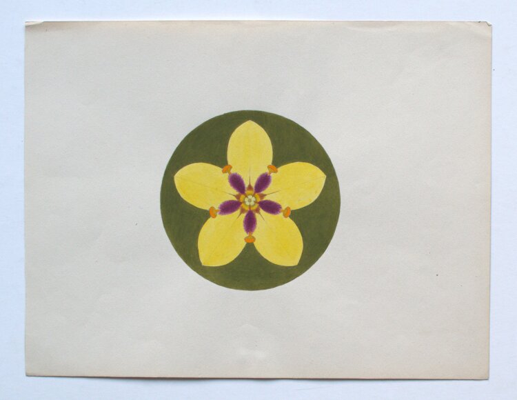 Fritz Berger - Blütenornament/ Wollkraut - um 1910 - Aquarell