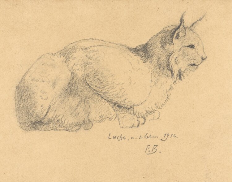 Fritz Berger - Sitzender Luchs - 1916 - Bleistift