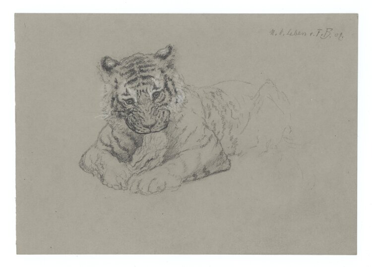 Fritz Berger - Tigerjunges - 1907 - Graphit und weiße Kreide