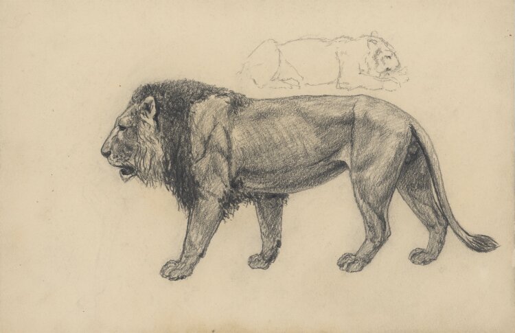 Fritz Berger - Löwe - um 1911 - Graphit