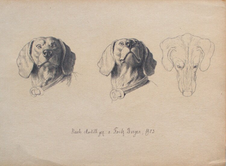 Fritz Berger - Dackel - 1903 - Graphit