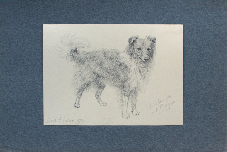 Fritz Berger - Hund - 1907 - Bleistift