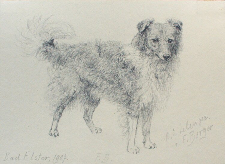 Fritz Berger - Hund - 1907 - Bleistift