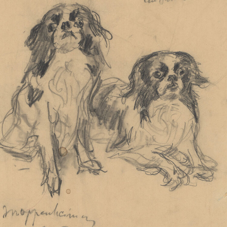 Joseph Oppenheimer - Baronin Scala (Pekinese) - 1932 -...