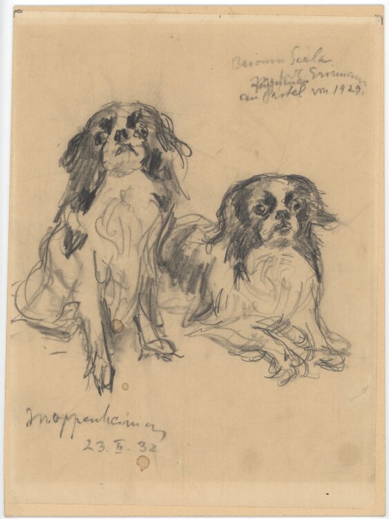Joseph Oppenheimer - Baronin Scala (Pekinese) - 1932 -...