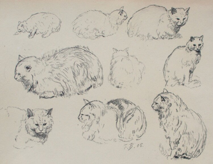 Fritz Berger - Studienblatt mit Katze - 1906 - Kohle