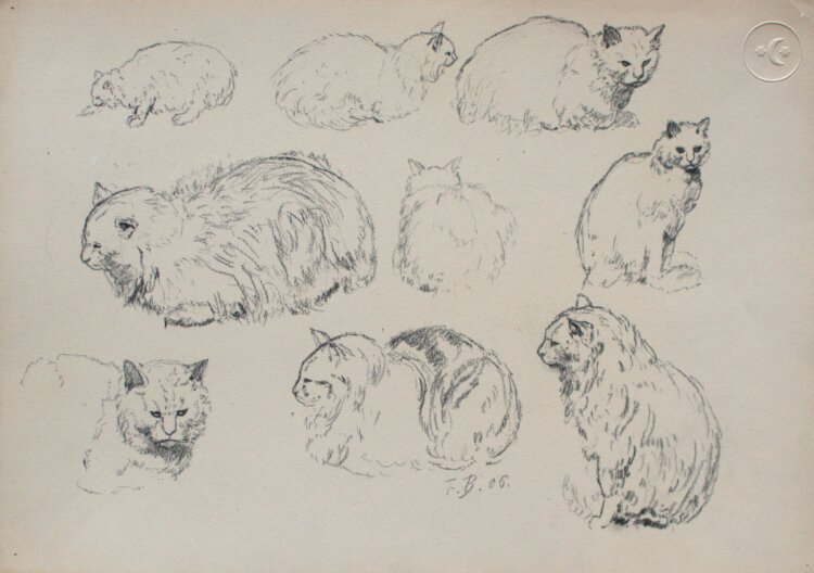 Fritz Berger - Studienblatt mit Katze - 1906 - Kohle