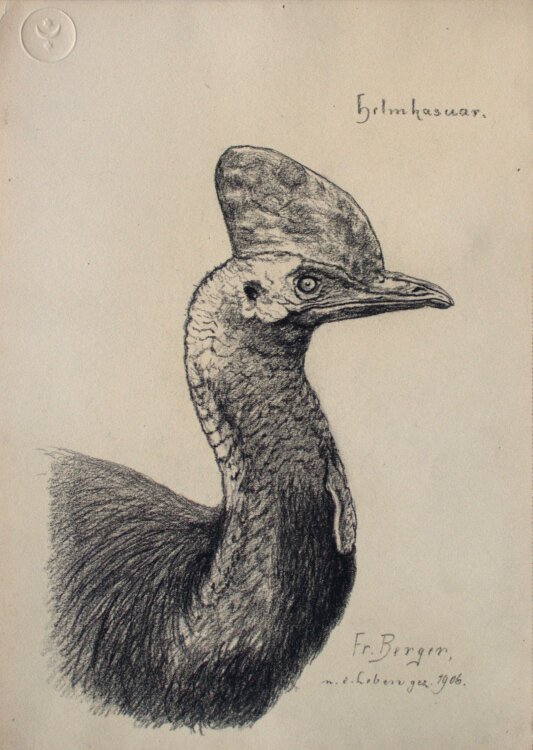 Fritz Berger - Helmkasuar - 1906 - Kohle