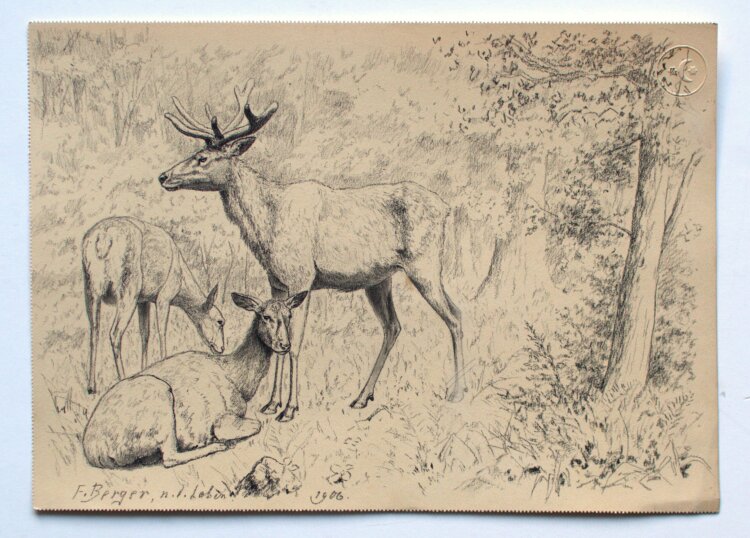 Fritz Berger - Hirsche im Wald - 1906 - Kohle