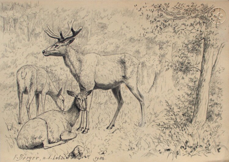 Fritz Berger - Hirsche im Wald - 1906 - Kohle