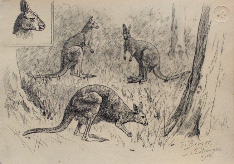 Fritz Berger - Eisbären - 1906 - Kohle