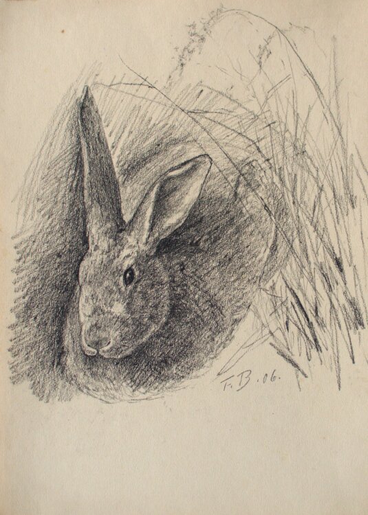 Fritz Berger - Liegender Hase - 1906 - Kohle