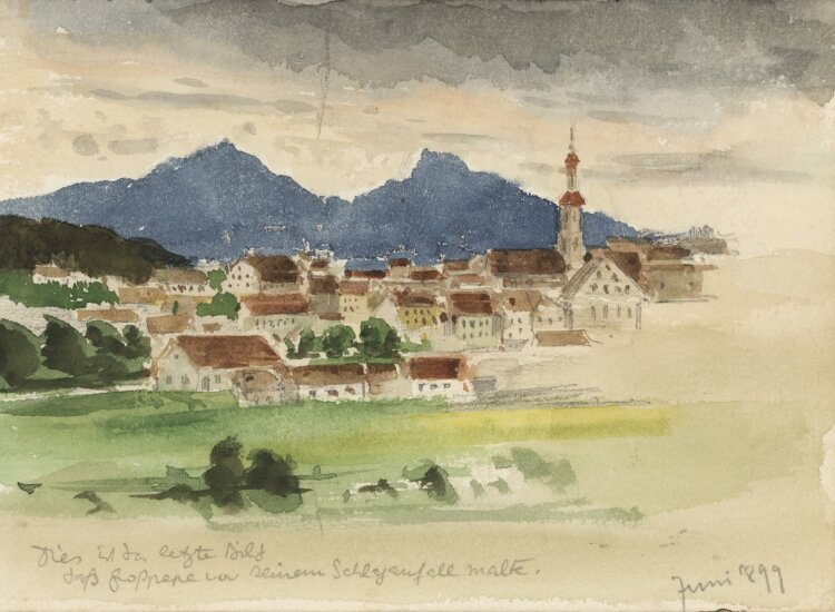 unbekannt - Stadt vor Bergen/ Hühnerskizzen - 1899 -...